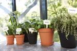 green basics schotel 14cm mild terra